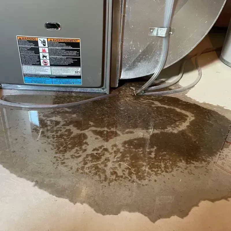 Appliance Leak Cleanup in Prestonsburg, KY